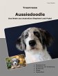 Traumrasse Aussiedoodle - Bild 1