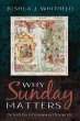 Why Sunday Matters (eBook, ePUB) - Bild 1