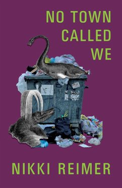 No Town Called We (eBook, ePUB) - Reimer, Nikki