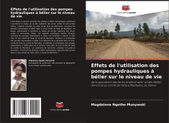Cover Effets de l'utilisation des pompes hydrauliques à bélier sur le niveau de vie