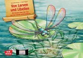 Von Larven und Libellen. Mit Kindern über den Tod und das Danach philosophieren. Kamishibai Bildkartenset Von Larven und Libellen. Mit Kindern über den Tod und das Danach philosophieren. Kamishibai Bildkartenset