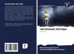 Cover ChISLENNYE METODY