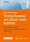 Thermal Runaway von Lithium-Ionen-Batterien
