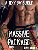 Massive Package - A Sexy Gay Bundle Volume 1 (eBook, ePUB) Massive Package - A Sexy Gay Bundle Volume 1 (eBook, ePUB)