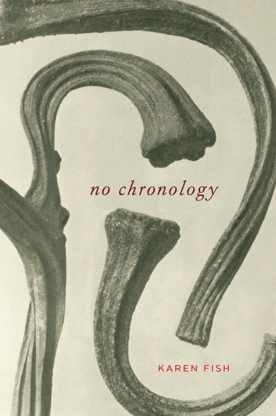 No Chronology (eBook, ePUB)