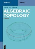 Algebraic Topology (eBook, PDF)
