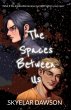 The Spaces Between Us (eBook, ePUB) - Bild 1
