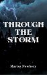 Through the Storm (eBook, ePUB) - Bild 1