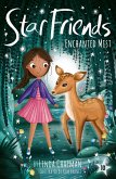 Enchanted Mist (eBook, ePUB)