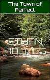 The Town of Perfect (eBook, ePUB) The Town of Perfect (eBook, ePUB)