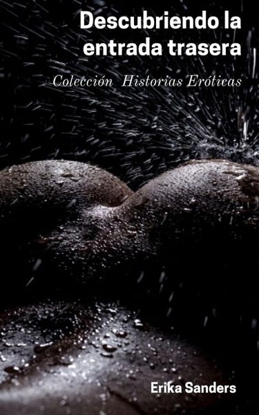 Descubriendo la entrada trasera (eBook, ePUB) Descubriendo la entrada trasera (eBook, ePUB)