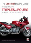 Hinckley Triumph triples & fours 750, 900, 955, 1000, 1050, 1200 - 1991-2009 (eBook, ePUB)