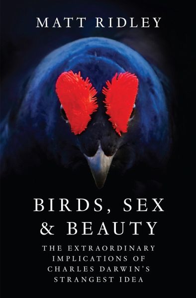 Birds, Sex and Beauty (eBook, ePUB)