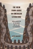 View from Above in American Literature (eBook, ePUB)