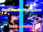 Stars Wander Waves Roar (eBook, ePUB)