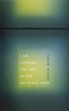 I Am Looking for You in the No-Place Grid (eBook, ePUB) - Haiun, Adam