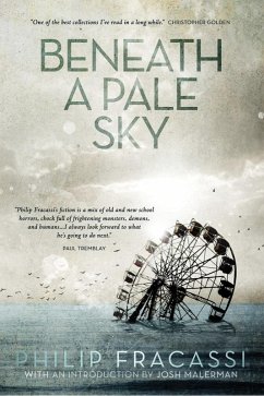 Cover Beneath a Pale Sky (eBook, ePUB)