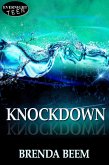 Knockdown (eBook, ePUB)