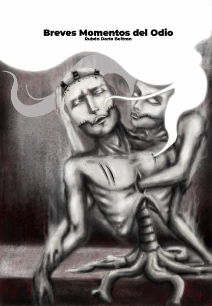 Breves Momentos del Odio (eBook, ePUB)