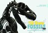 The 50 State Fossils (eBook, ePUB) - Bild 1