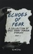 Echoes of Fear Book 2 (eBook, ePUB) - Bild 1