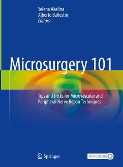Cover Microsurgery 101 (eBook, PDF)