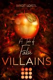 Die Märchenchroniken 1: A Tale of False Villains (eBook, ePUB)