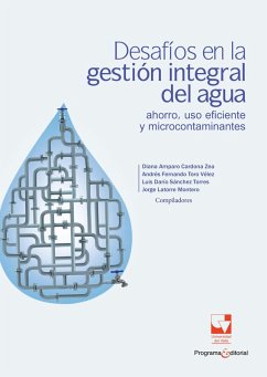 Cover Desafíos en la gestión integral del agua (eBook, PDF)