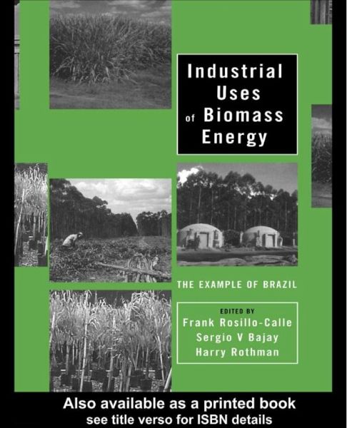 Industrial Uses of Biomass Energy (eBook, ePUB)