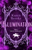 Illumination (eBook, ePUB)