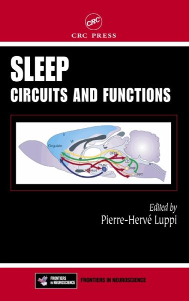 Sleep (eBook, ePUB)