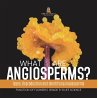 What are Angiosperms? Types,... - Bild 1