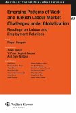 Emerging Patterns of Work and Turkish Labour Market Challenges under Globalization (eBook, PDF)