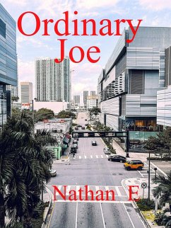 Ordinary Joe (eBook, ePUB) - E, Nathan