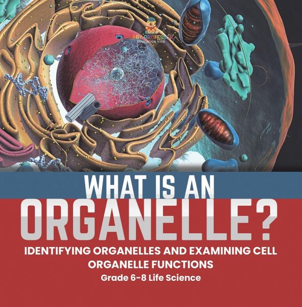 What is an Organelle? Identifying Organelles and Examining Cell Organelle Functions Grade 6-8 Life Science (eBook, ePUB) What is an Organelle? Identifying Organelles and Examining Cell Organelle Functions Grade 6-8 Life Science (eBook, ePUB)