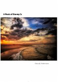 A Music of Stormy Cs (eBook, ePUB)