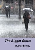 The Bigger Storm (eBook, ePUB)