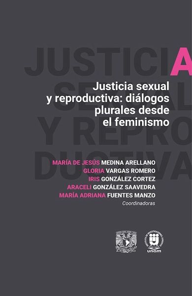 Justicia sexual y reproductiva: Diálogos plurales desde el feminismo (eBook, ePUB)