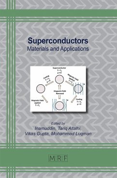 Superconductors (eBook, PDF)