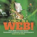 Stuck in a Web! Food Webs vs Food Chains   Consumers, Producers and Decomposers   Grade 6-8 Life Science (eBook, ePUB)