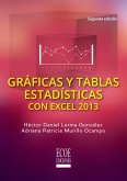 Gráficas y tablas estadísticas en Excel (eBook, PDF)