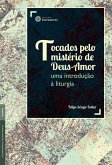 Tocados pelo mistério de Deus-Amor: (eBook, ePUB)