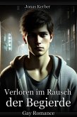 Verloren im Rausch der Begierde - Gay Romance (eBook, ePUB)