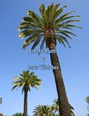 Time for Truth (eBook, ePUB) Time for Truth (eBook, ePUB)