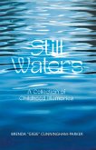Still Waters (eBook, ePUB)