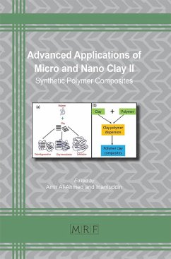 Advanced Applications of Micro and Nano Clay II (eBook, PDF)