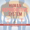 Human Reproductive System   How the... - Bild 1