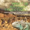 What is Natural Selection?... - Bild 1