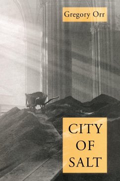 City Of Salt (eBook, PDF) - Gregory Orr, Orr