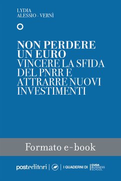 Non perdere un euro (eBook, ePUB) - Alessio-Vernì, Lydia